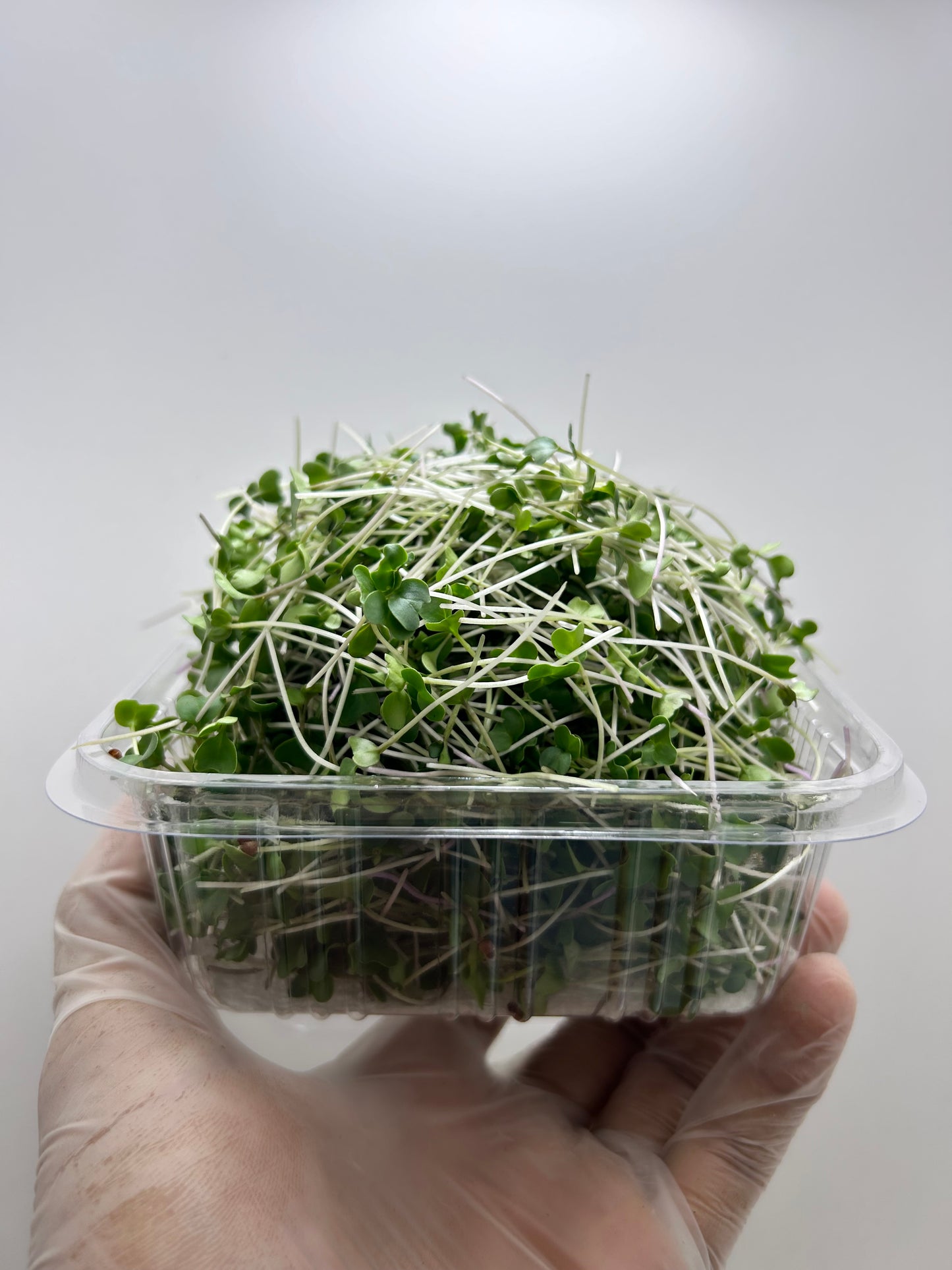 Microgreens (Brócoli) 3oz - GroScapes