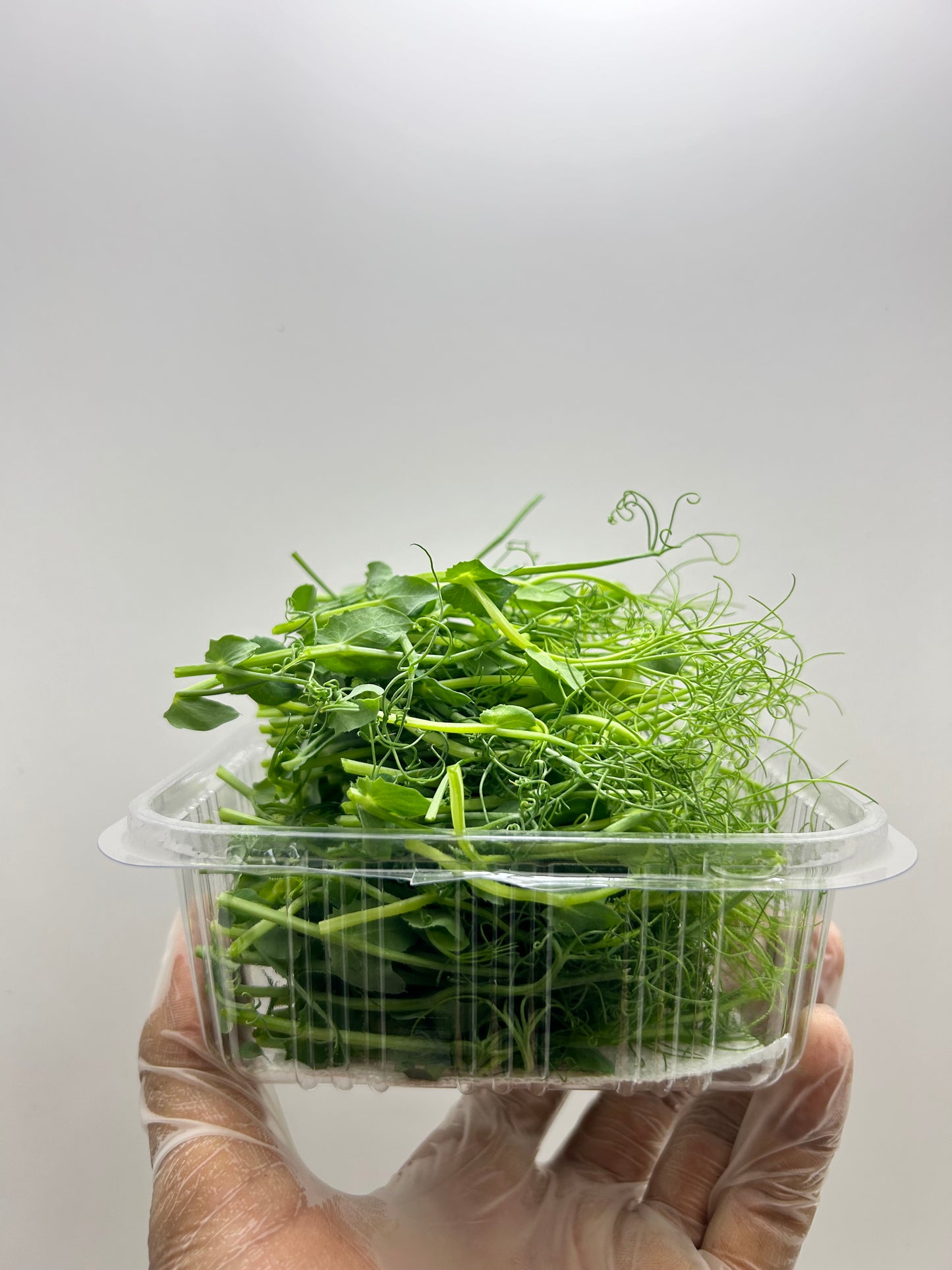 Microgreens (Pea Tendrils) 3oz - GroScapes