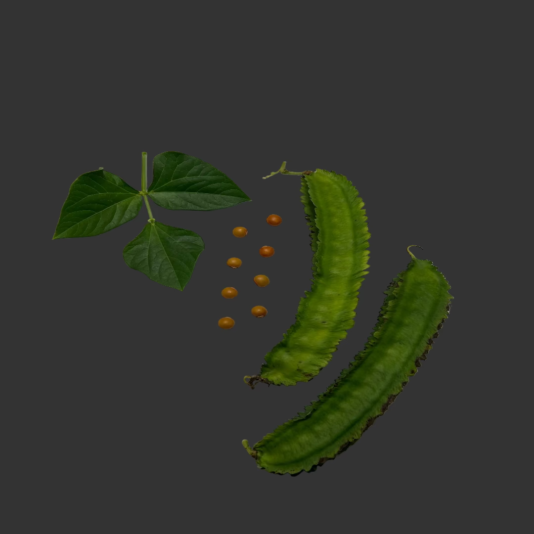 Habichuelas Aladas