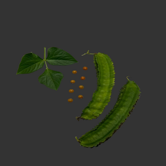 Habichuelas Aladas